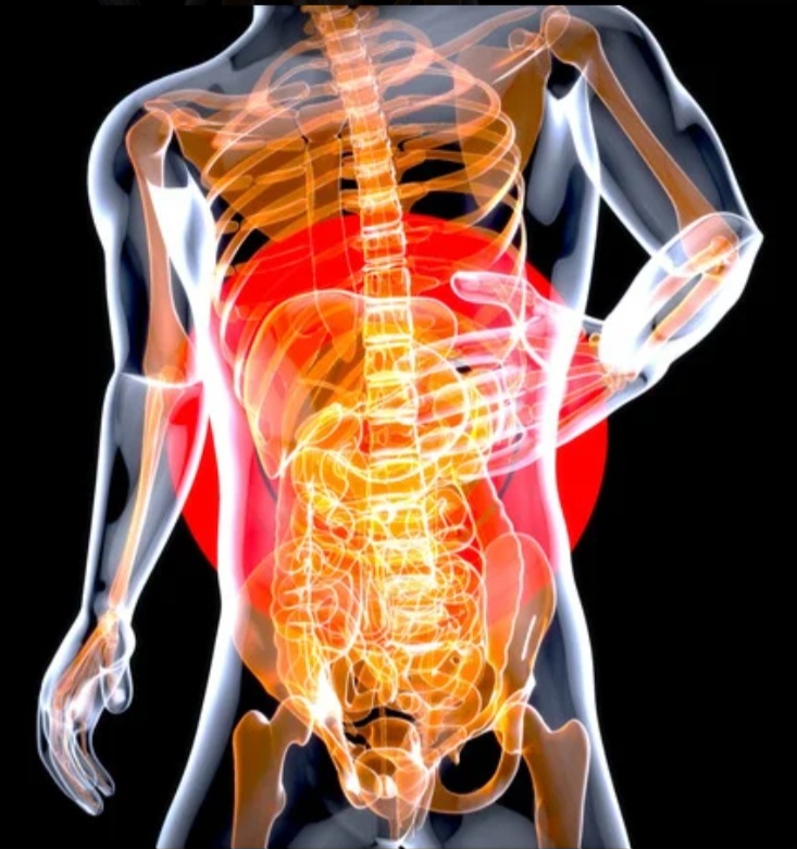 Screenshot 20231026 183140 Canva