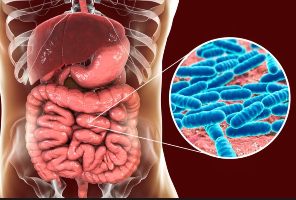 Screenshot 20231026 184338 Canva