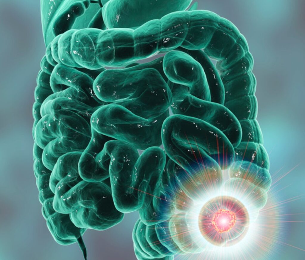 Screenshot 20231026 184518 Canva