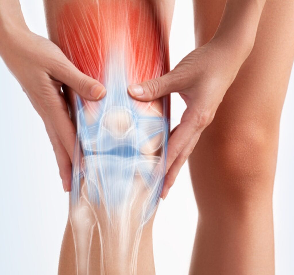 Screenshot 20231026 191625 Canva 1