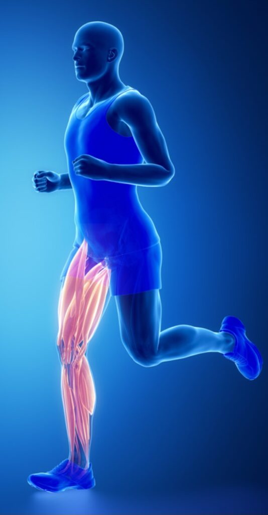 Screenshot 20231026 205441 Canva