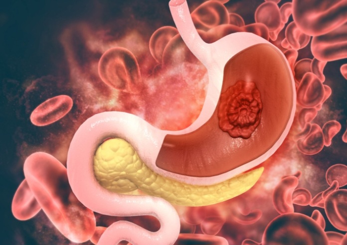 Screenshot 20231028 164105 Canva