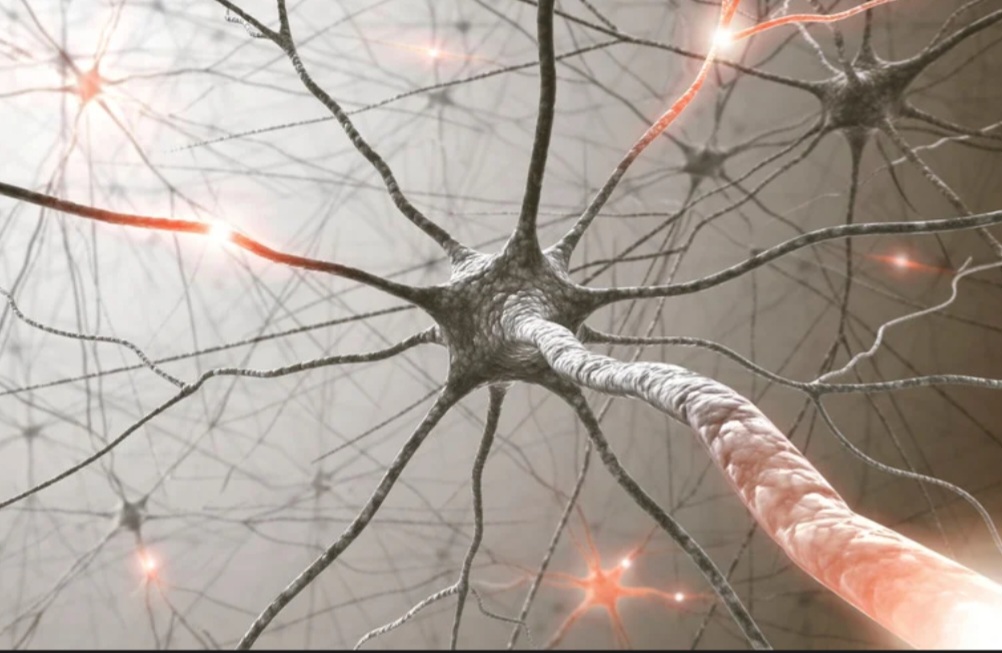 Screenshot 20231114 171729 Canva