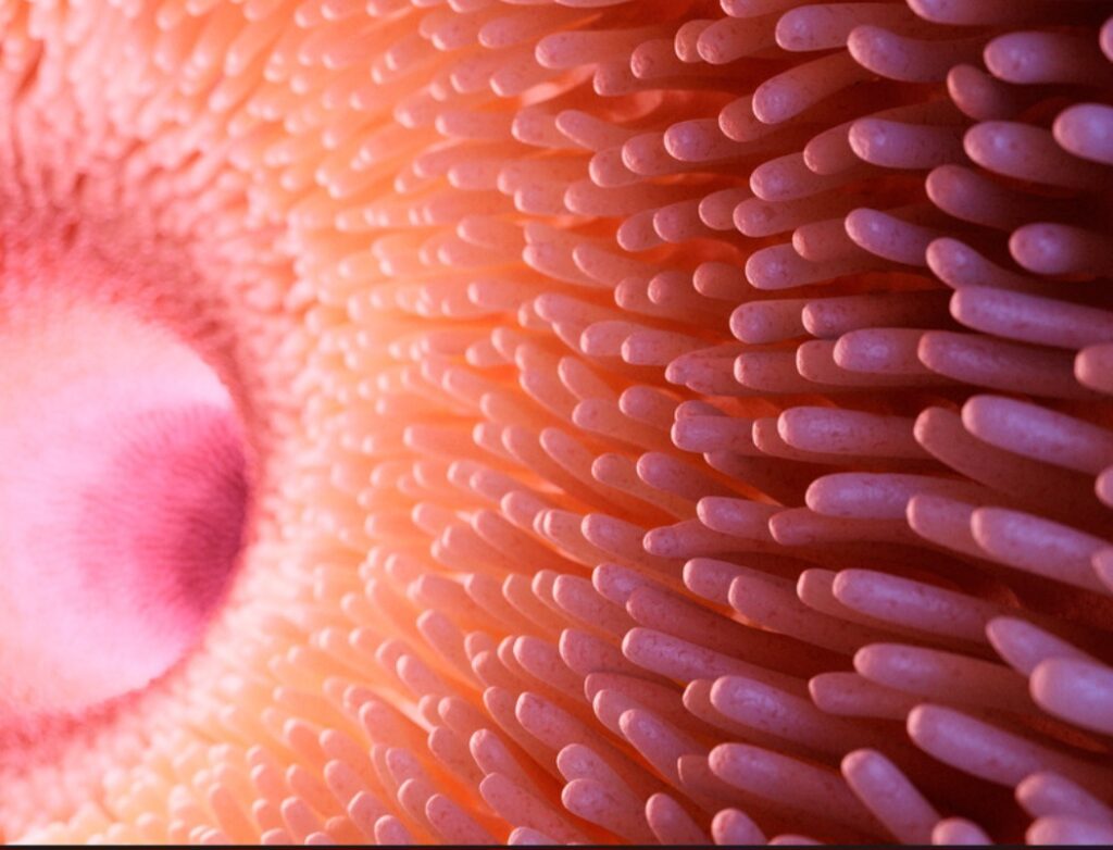 Screenshot 20231026 184444 Canva