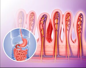 Screenshot 20231026 184402 Canva