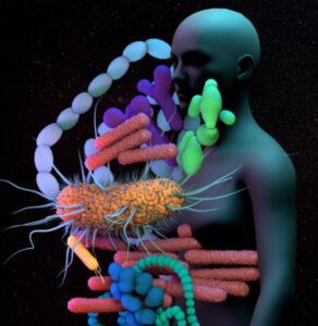 Screenshot 20231026 184746 Canva 1