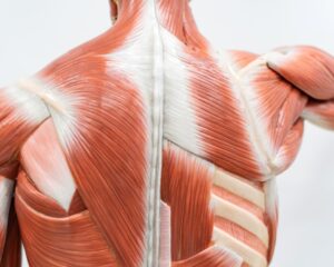 Screenshot 20231026 205159 Canva